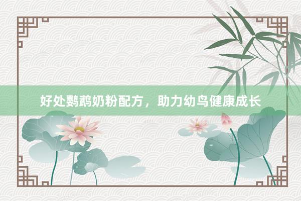 好处鹦鹉奶粉配方，助力幼鸟健康成长