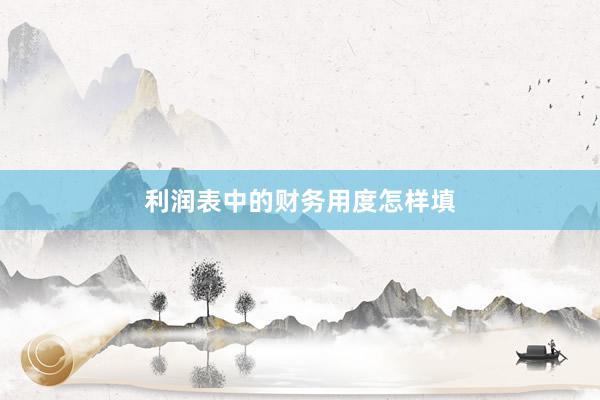利润表中的财务用度怎样填