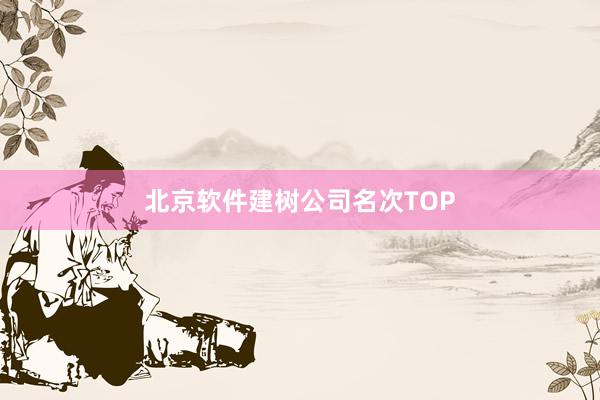 北京软件建树公司名次TOP