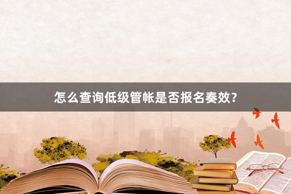 怎么查询低级管帐是否报名奏效？