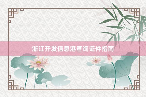 浙江开发信息港查询证件指南