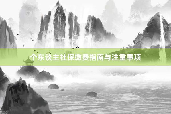 个东谈主社保缴费指南与注重事项