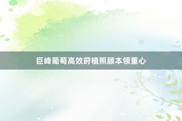 巨峰葡萄高效莳植照顾本领重心